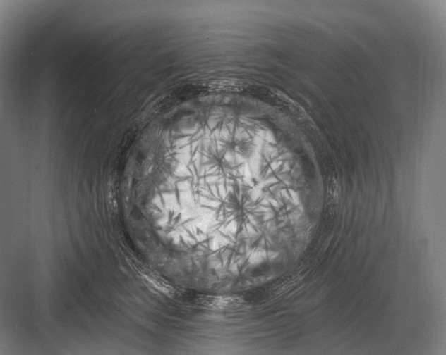 X0000082730663200702161908