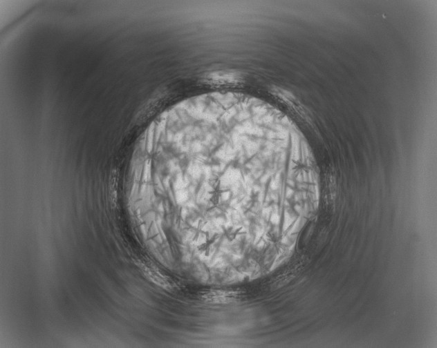 X0000082730664200702161909