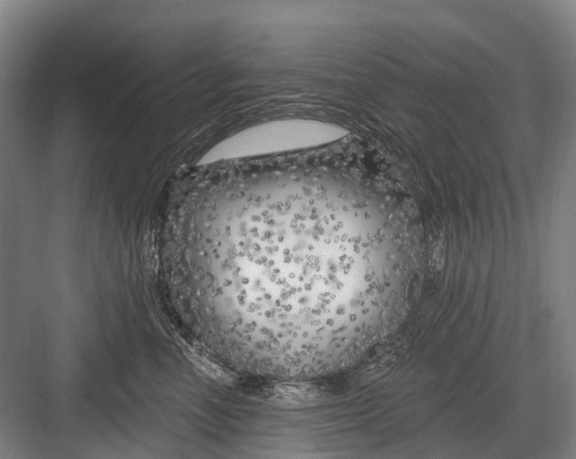 X0000082730666200702161909