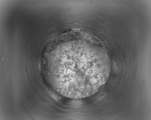 X0000082730668200702161909