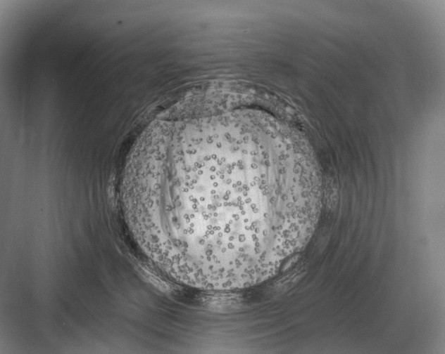 X0000082730670200702161909