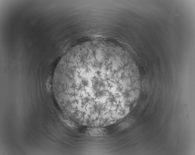 X0000082730671200702161909