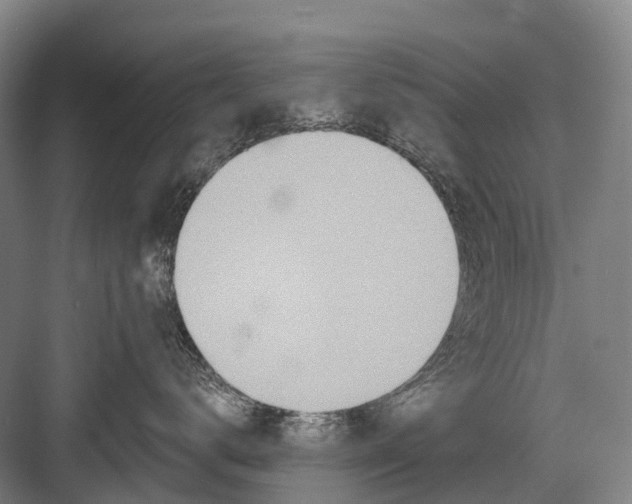 X0000082730672200702161909