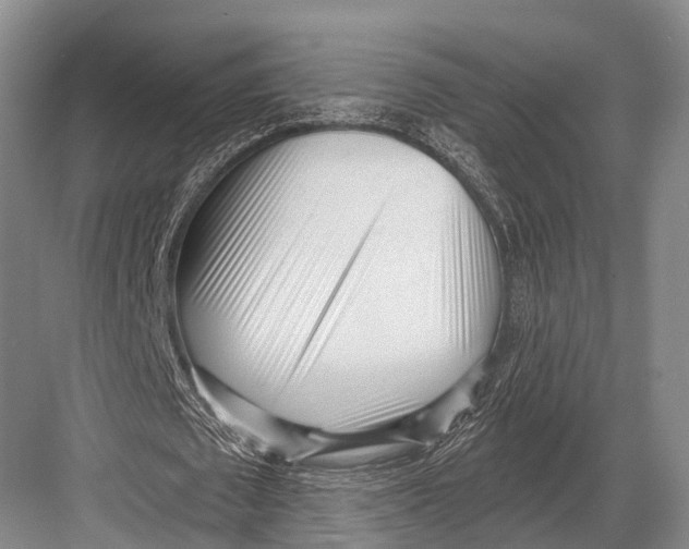 X0000082730673200702161908