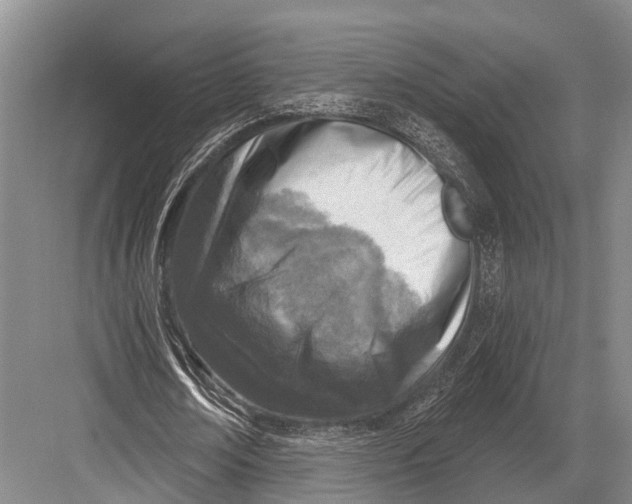 X0000082730674200702161908