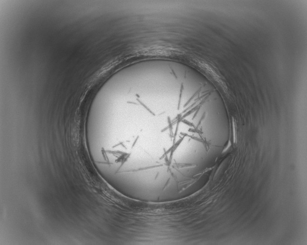 X0000082730675200702161908