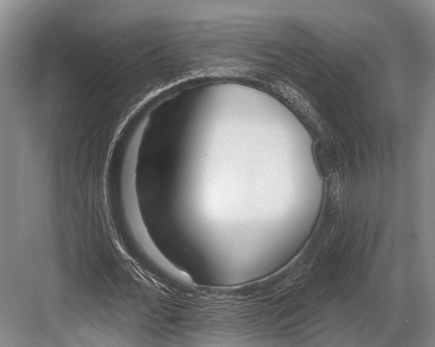 X0000082730676200702161908