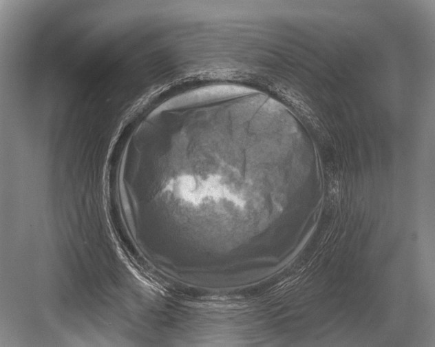 X0000082730678200702161908