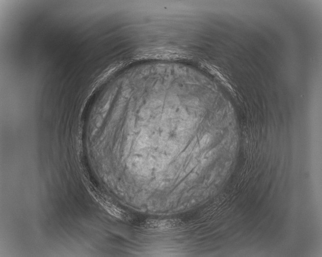 X0000082730679200702161908