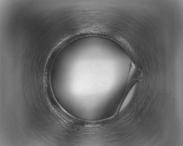 X0000082730680200702161908