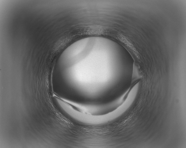 X0000082730681200702161908