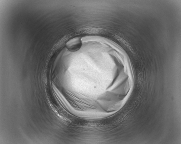 X0000082730682200702161908