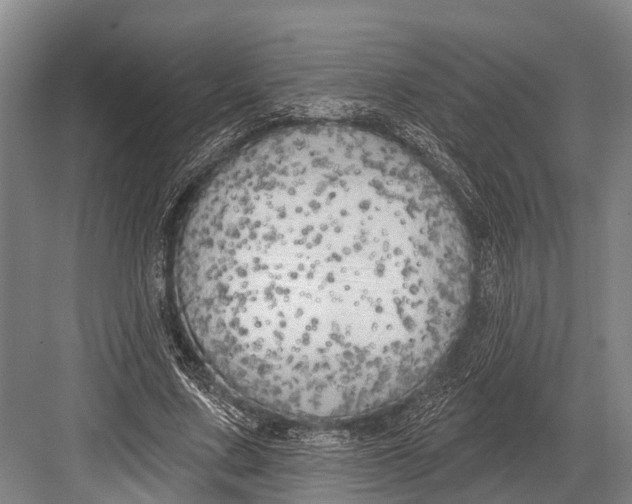 X0000082730683200702161908