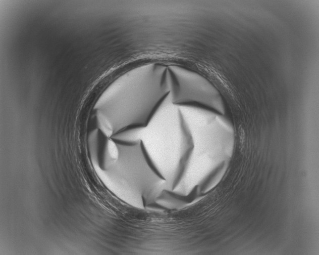 X0000082730684200702161908