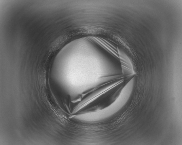 X0000082730685200702161908