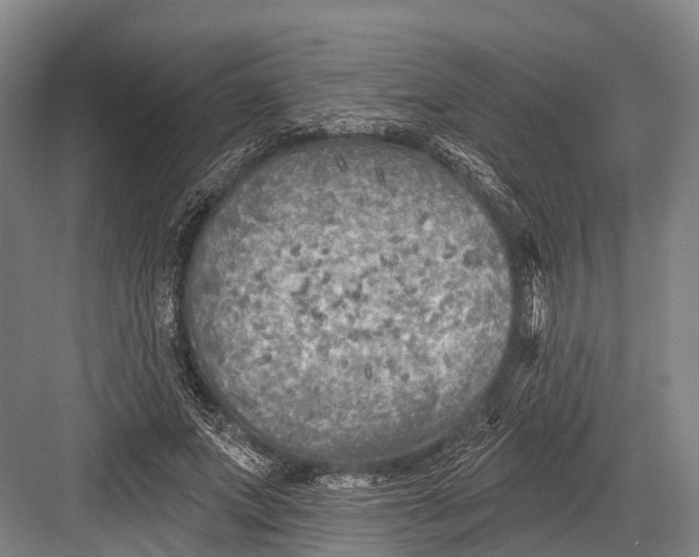 X0000082730687200702161908