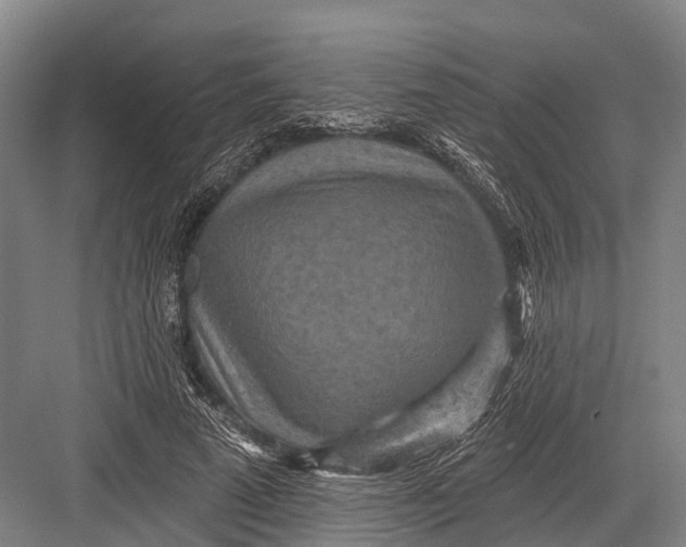 X0000082730689200702161908