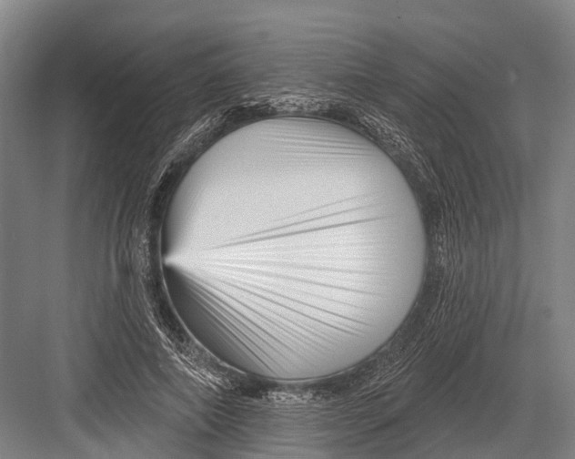 X0000082730690200702161908