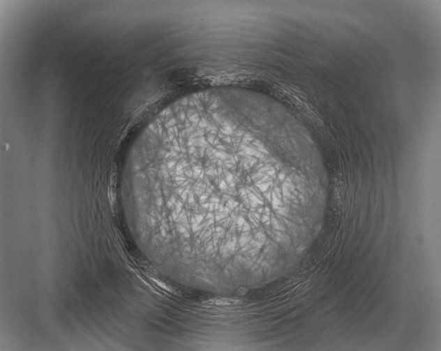 X0000082730691200702161908