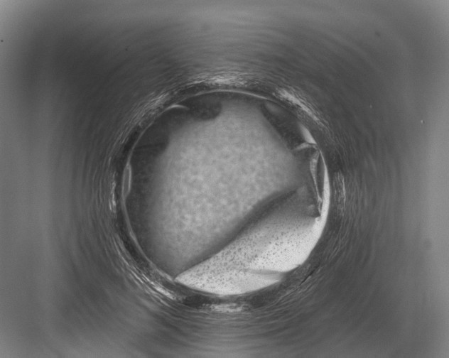 X0000082730692200702161908