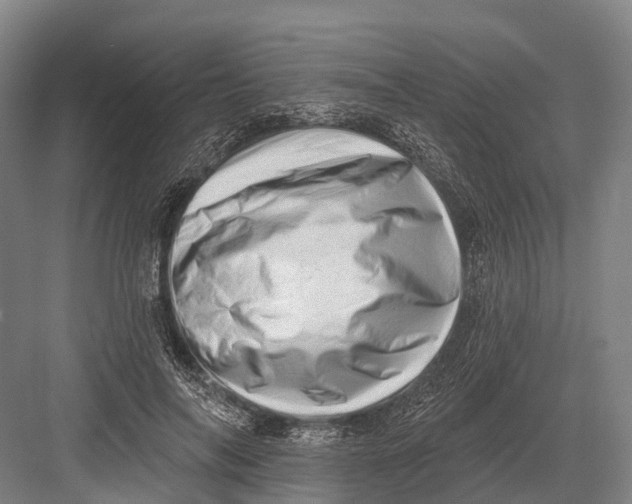 X0000082730694200702161907