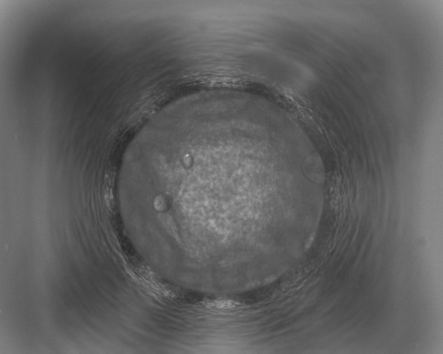 X0000082730695200702161907