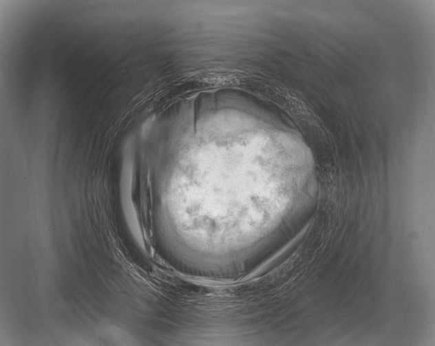 X0000082730696200702161907