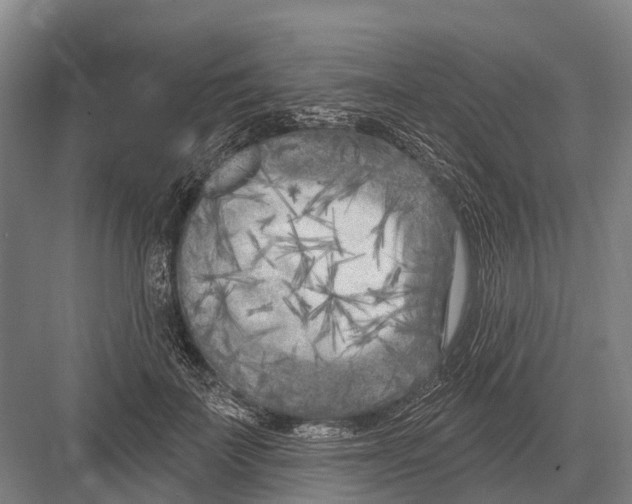 X0000082730699200702161907