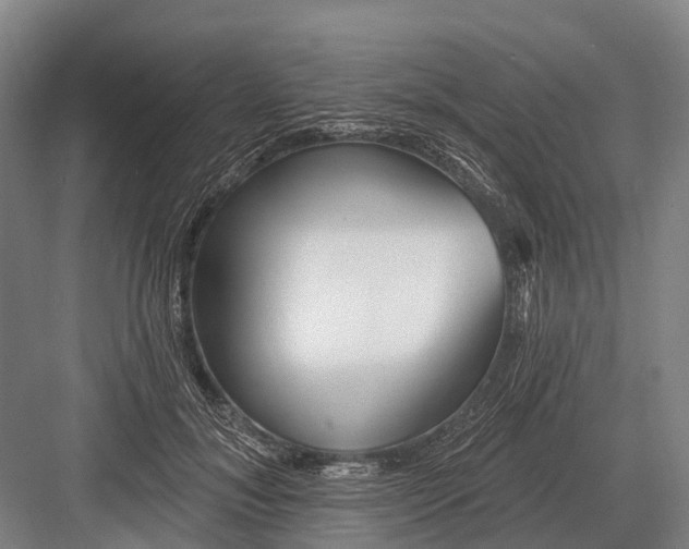 X0000082730700200702161907