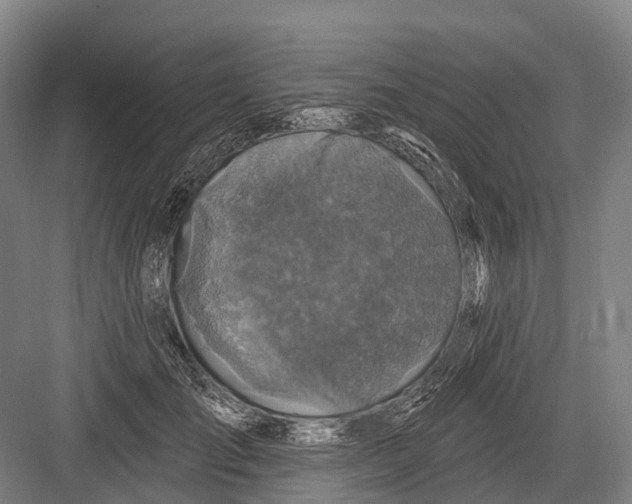 X0000082730701200702161907