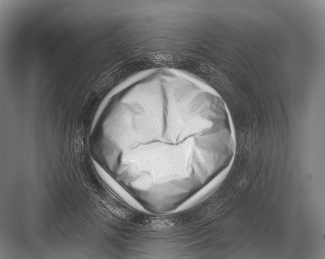 X0000082730702200702161907