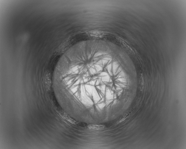 X0000082730707200702161907