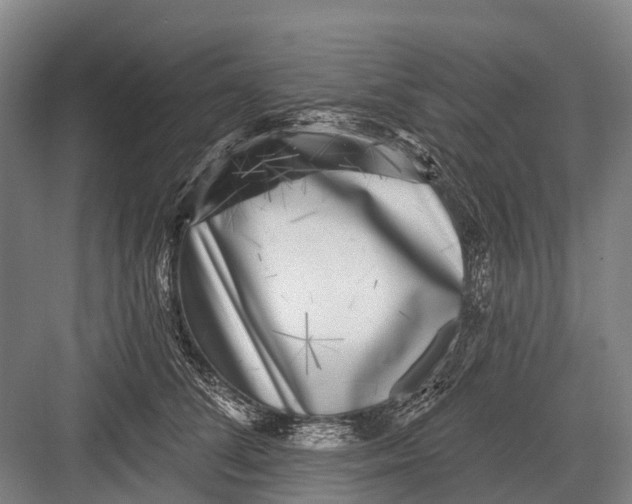 X0000082730708200702161907