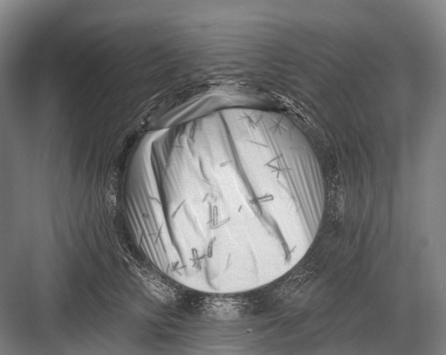 X0000082730710200702161907