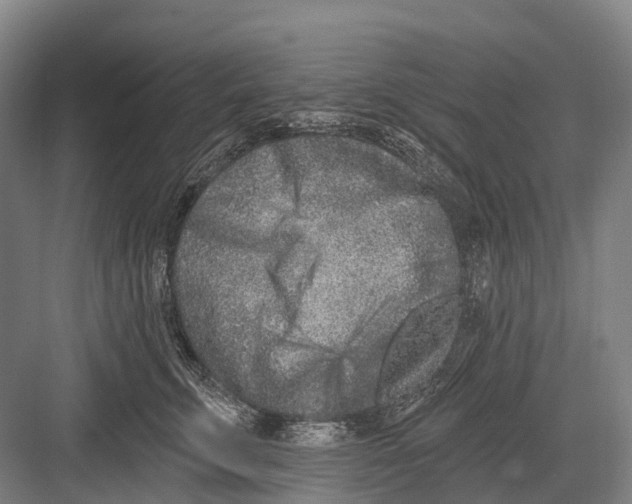 X0000082730711200702161907