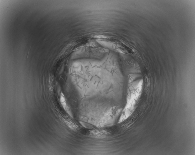 X0000082730712200702161907