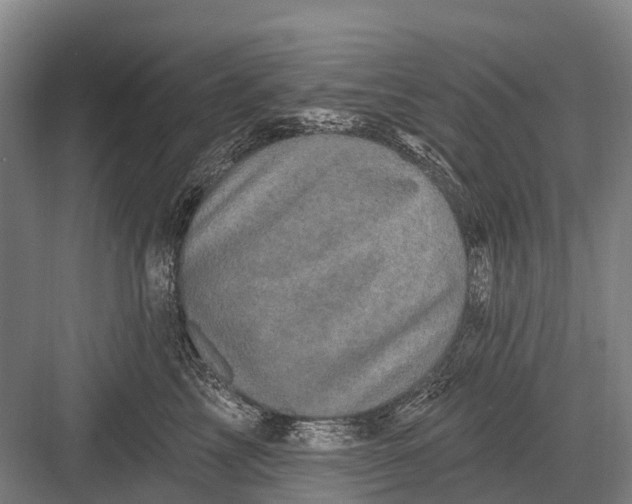 X0000082730713200702161907