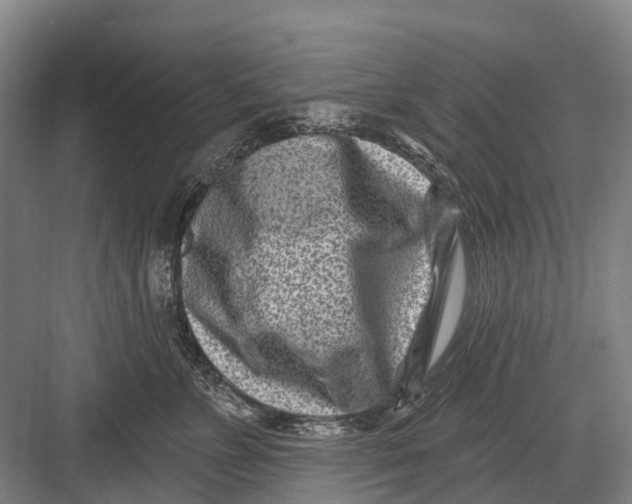 X0000082730715200702161907