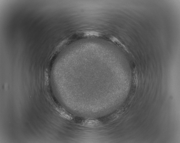 X0000082730716200702161907