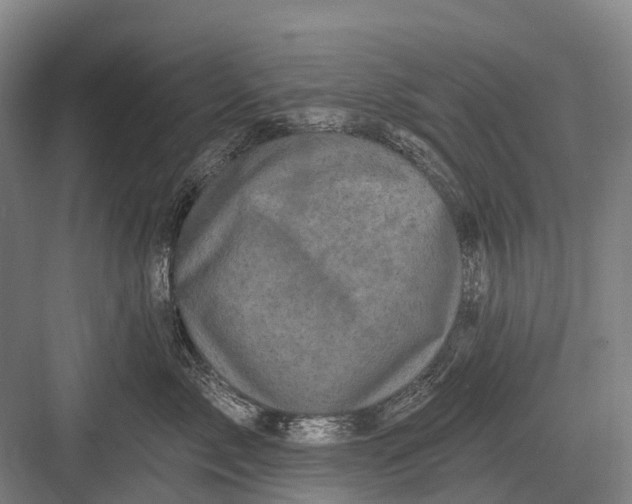 X0000082730717200702161907