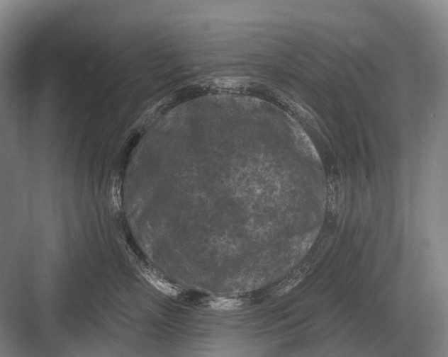 X0000082730718200702161907