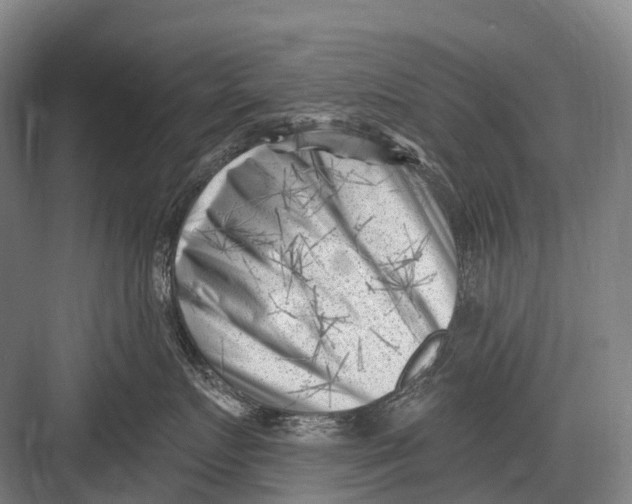 X0000082730719200702161907