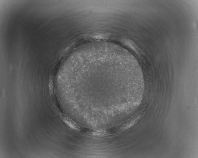 X0000082730720200702161907