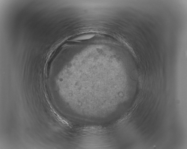 X0000082730721200702161906