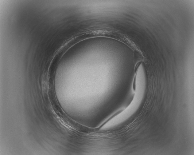 X0000082730722200702161906