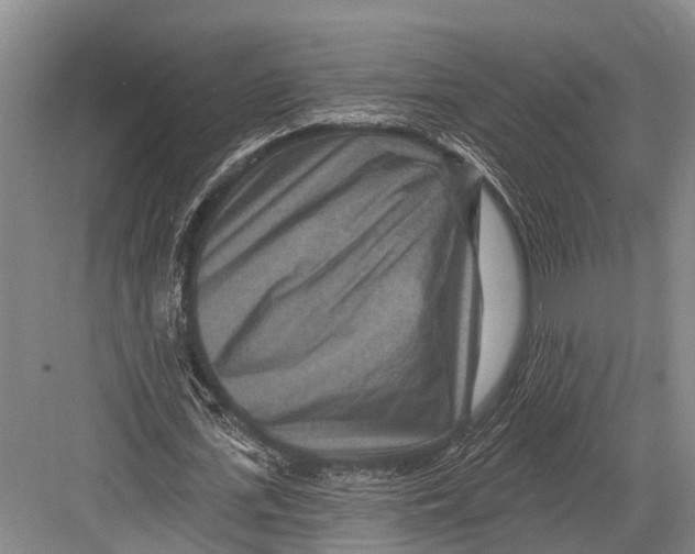 X0000082730723200702161906