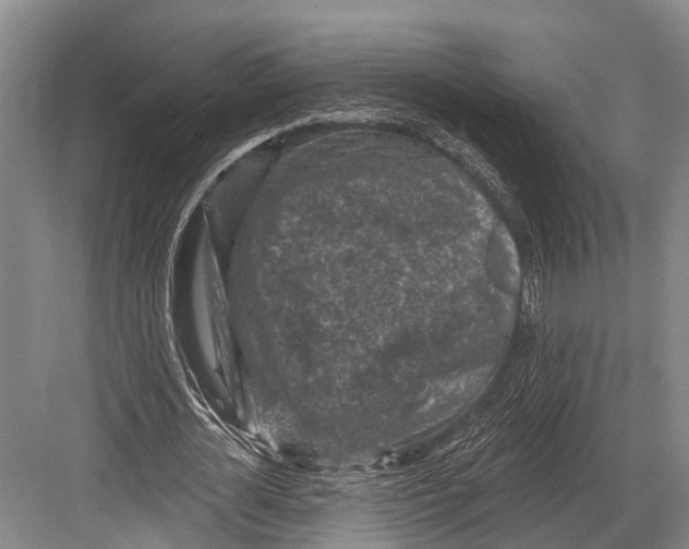 X0000082730724200702161906