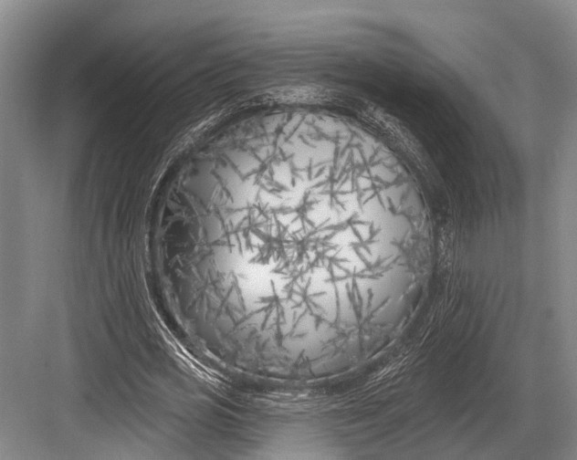 X0000082730725200702161906