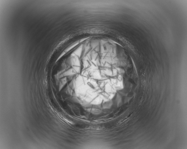 X0000082730727200702161906