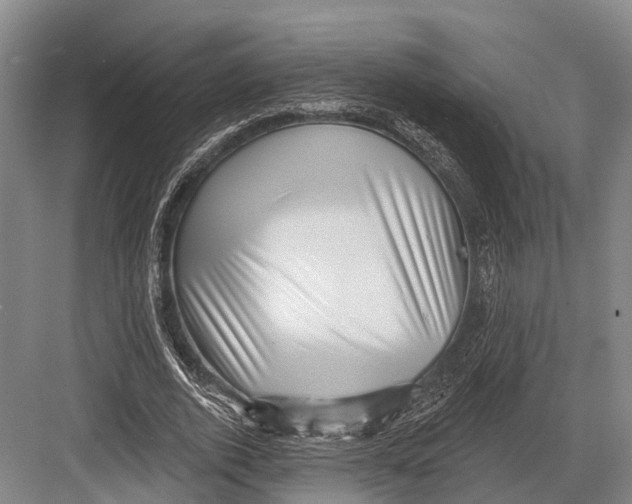 X0000082730728200702161906